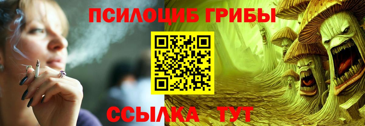 Жигулёвск  Галлюциногенные грибы Cubensis  Вход с VPN 